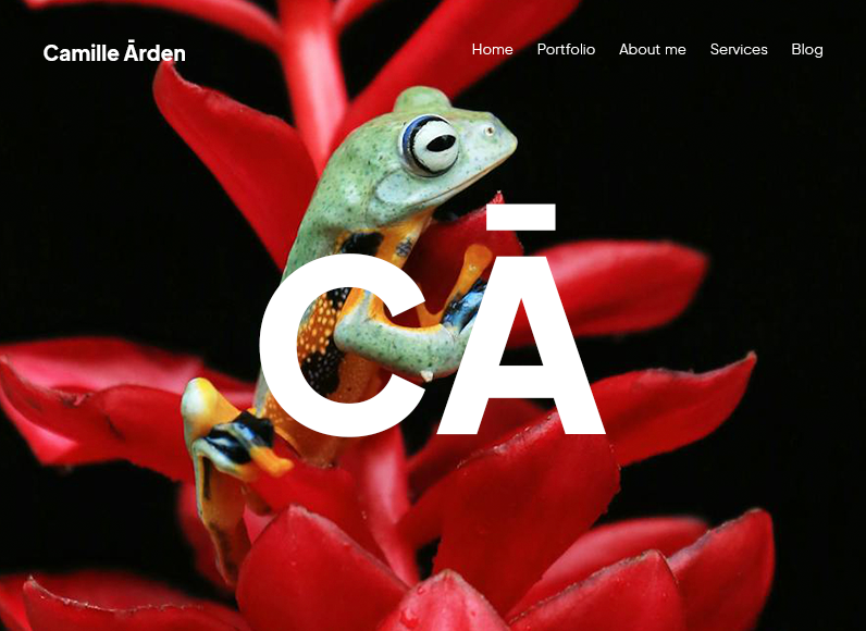 example_artboard_11 (1)